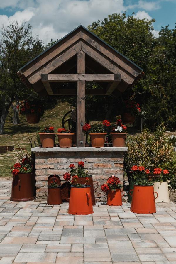 Dreko Panzio & Borbisztro Bed and Breakfast Győrújbarát Eksteriør billede