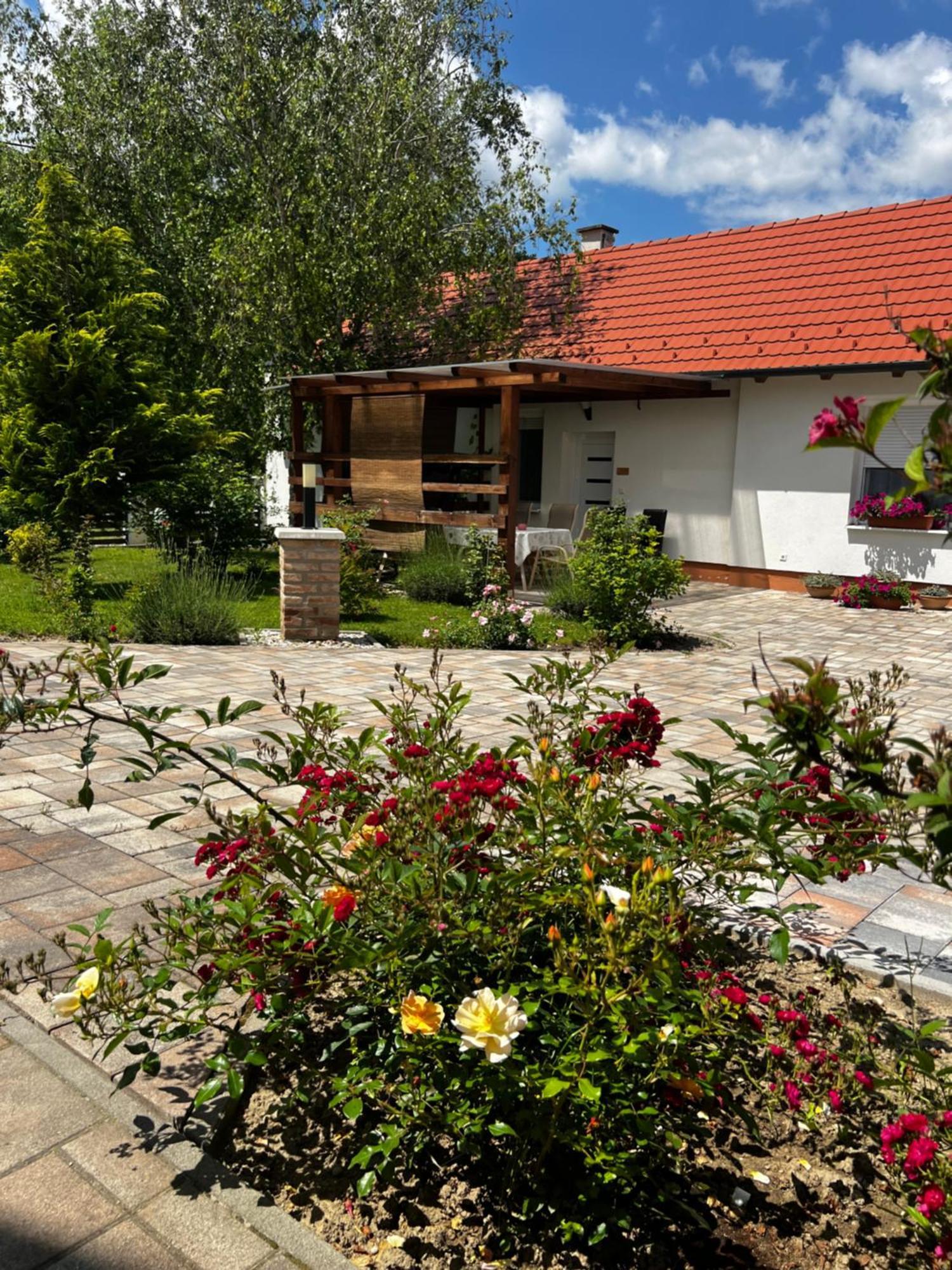 Dreko Panzio & Borbisztro Bed and Breakfast Győrújbarát Eksteriør billede
